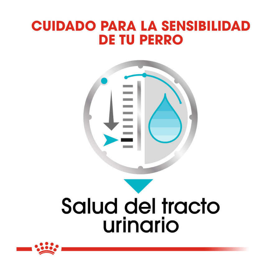 85 g Royal Canin Urinary Care pat&eacute; sobre para perros, , large Imagen numero 5